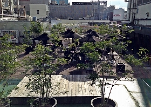 銀座の屋上に「オアシス」発見！　秋空の下でカフェタイムできるスポット3選