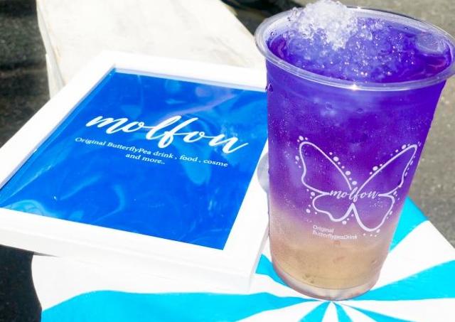 バタフライピー使ったきれいなドリンク　来店者全員に1杯プレゼント！